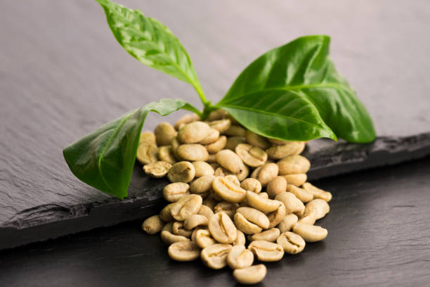 Green Coffee Alfamart : Pencarian Kopi Hijau di Alfamart